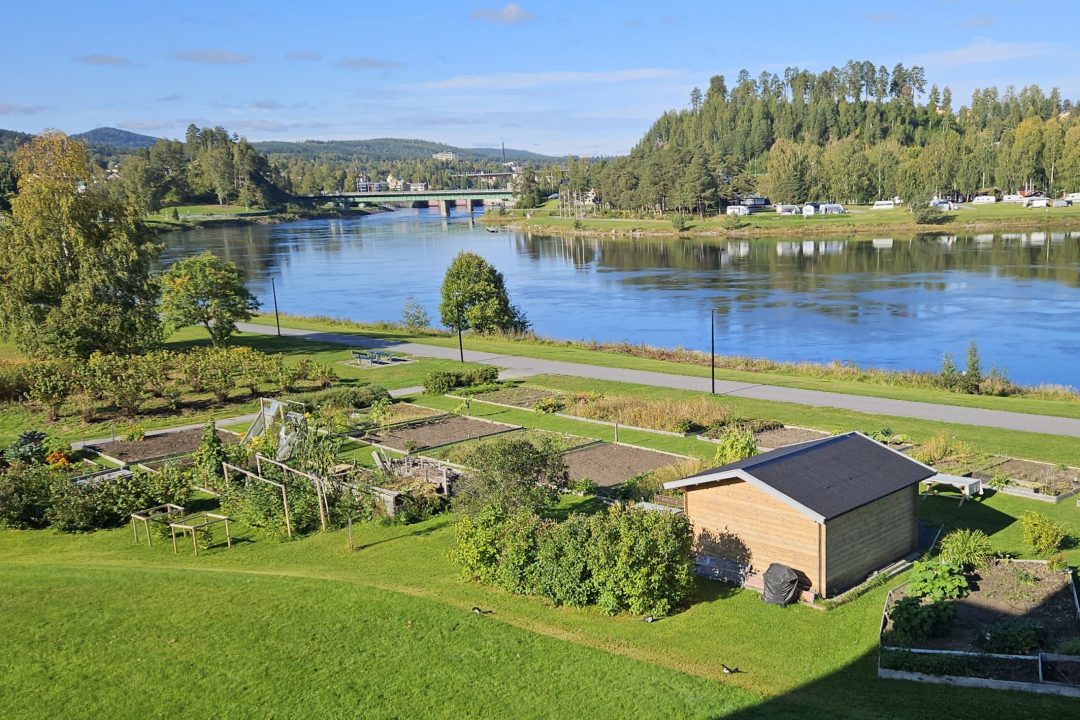Sveriges vackrast belägna odlingslotter vid Ångermanälven i Sollefteå
